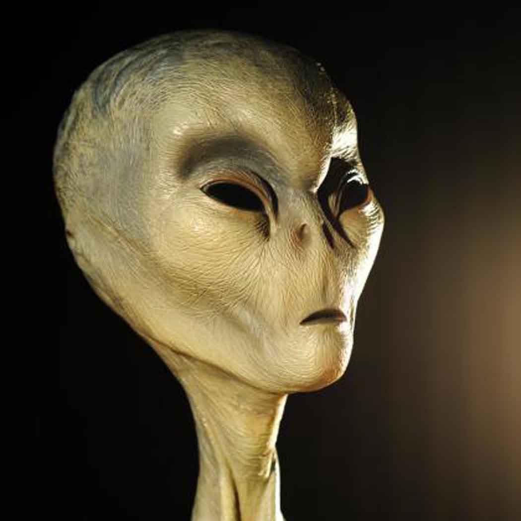 👽 어느덧 슬금슬금 20% 찍은 외계인 실존 마켓, 대체 무슨 일이? | 마켓마켓